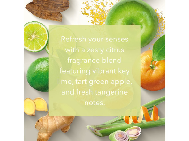 41381-sunny citrus - v